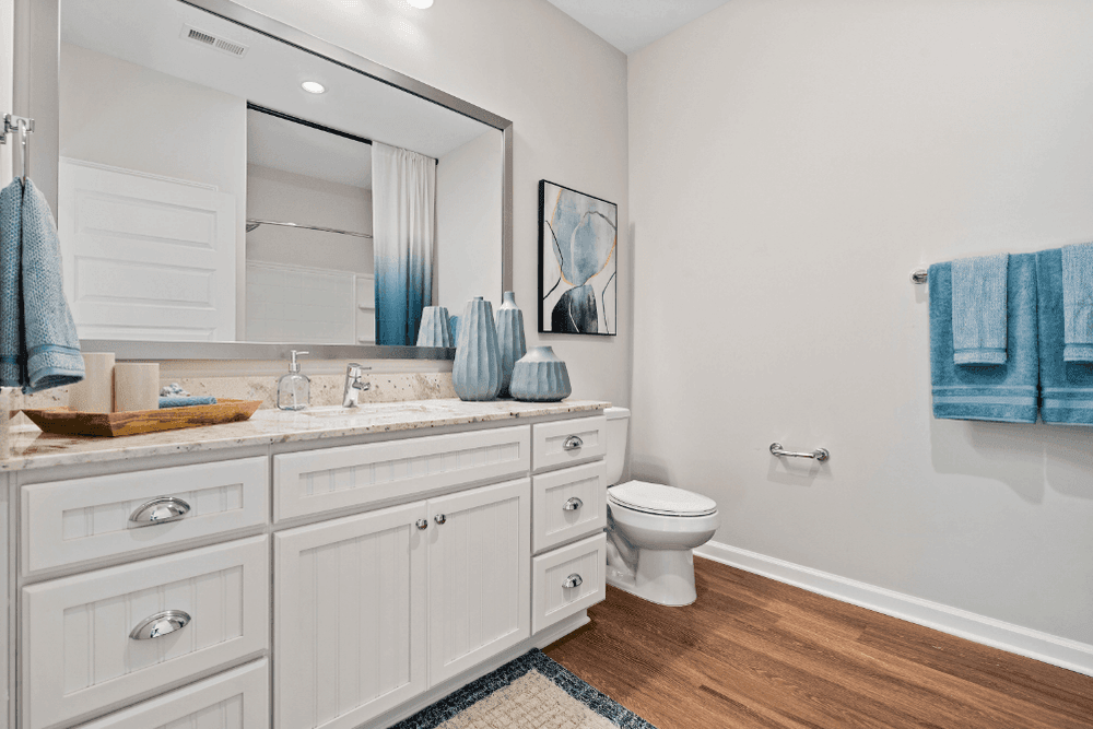 Interior bathroom with white cabinets