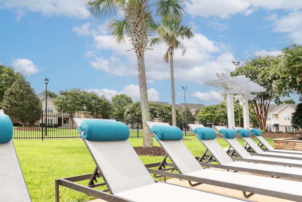 a row of white lounge chairs with blue pillows in a park with palm trees