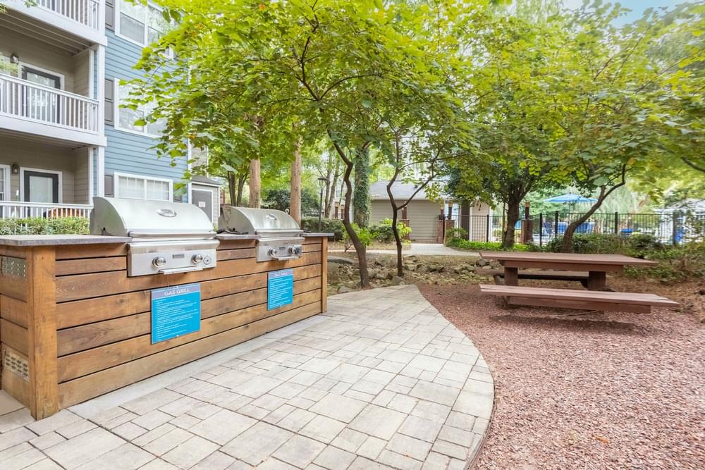 our apartments have a picnic area with a picnic table and grill
