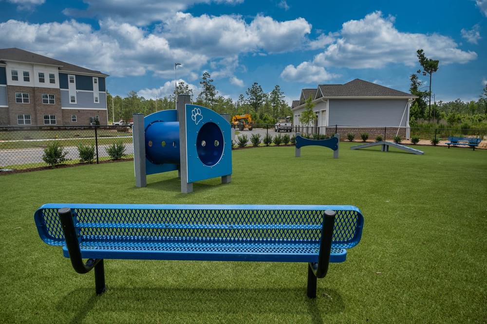 a park with a blue bench and playground equipment