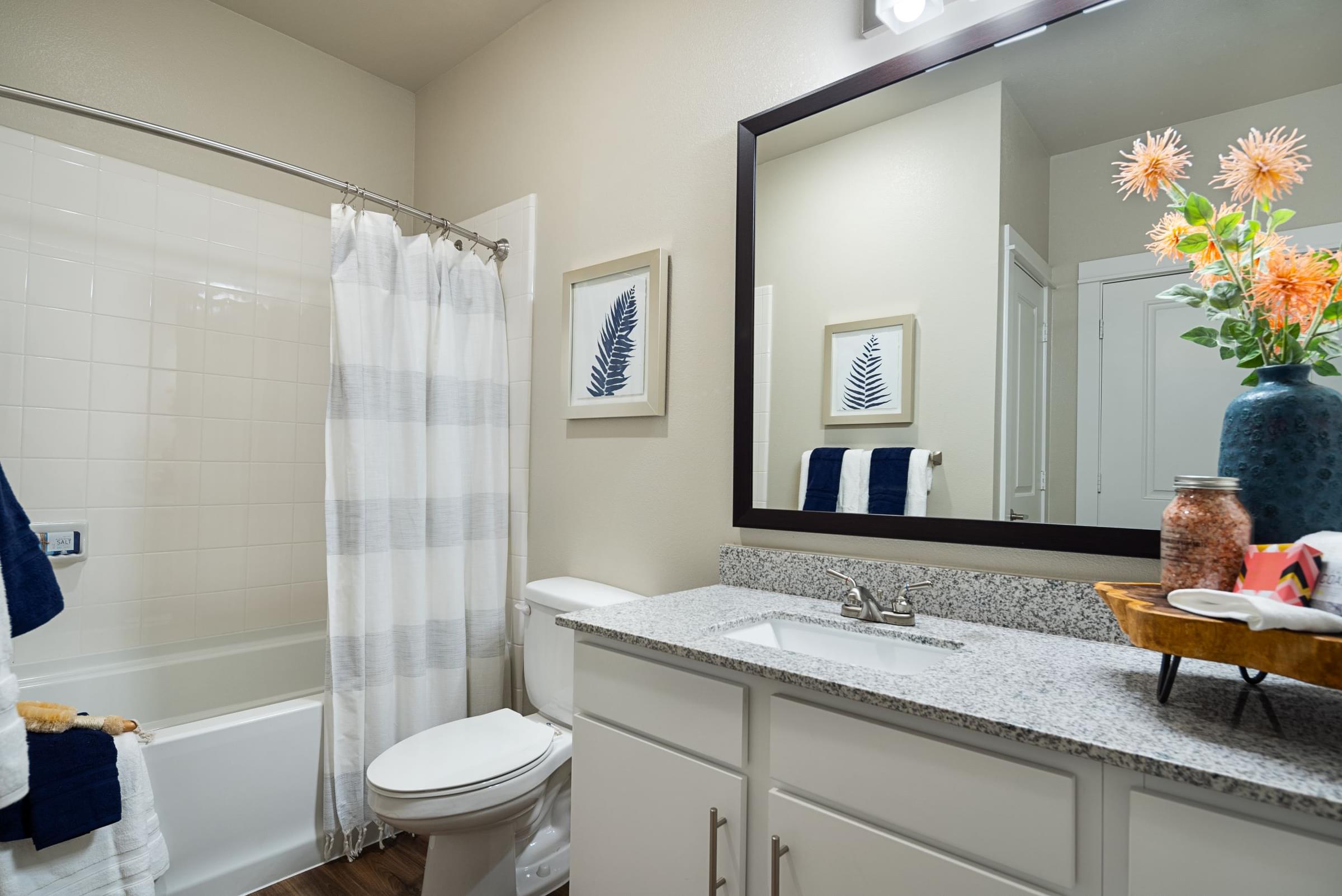 Bathroom at Hawthorne at Blanco Riverwalk in San Marcos, TX Bathroom at Hawthorne at Blanco Riverwalk in San Marcos, TX