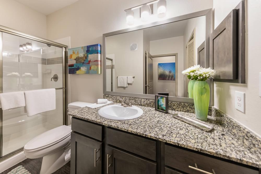 the preserve at ballantyne commons apartments bathroom with sink and shower