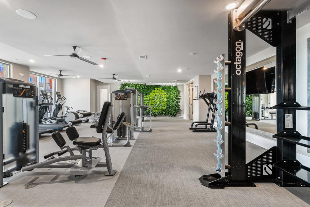 Wellness Club with Living Wall, Cardio and Strength Training Equipment