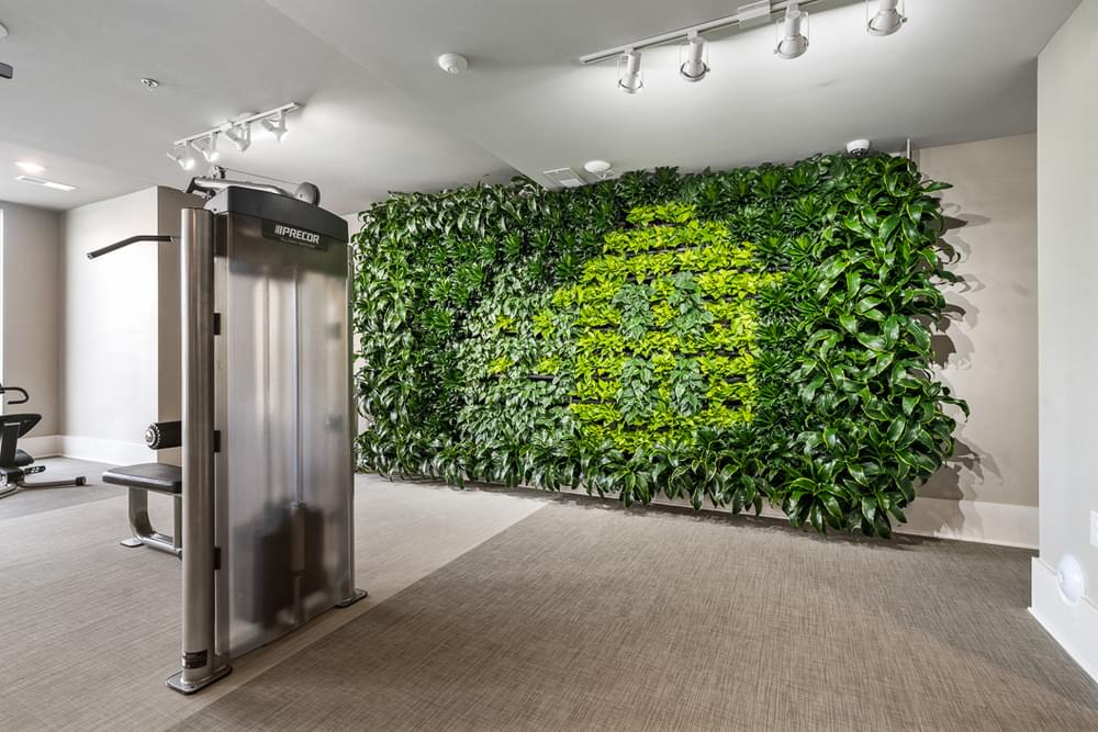 Purifying Living Wall in Fitness Center Hawthorne at Friendly Greensboro NC