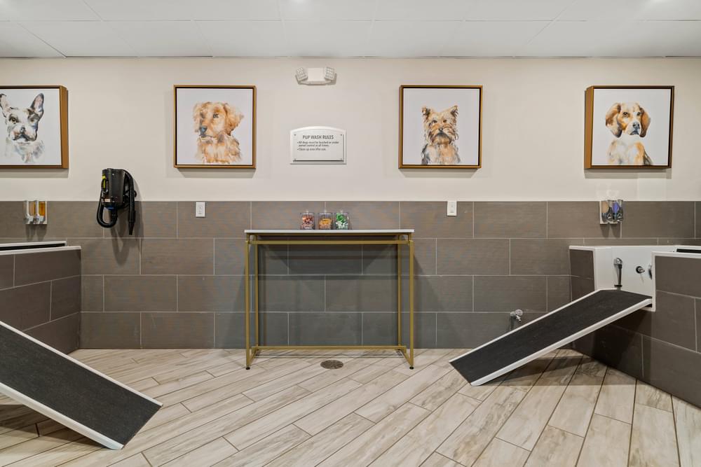 a large room with portraits of dogs on the wall and benches