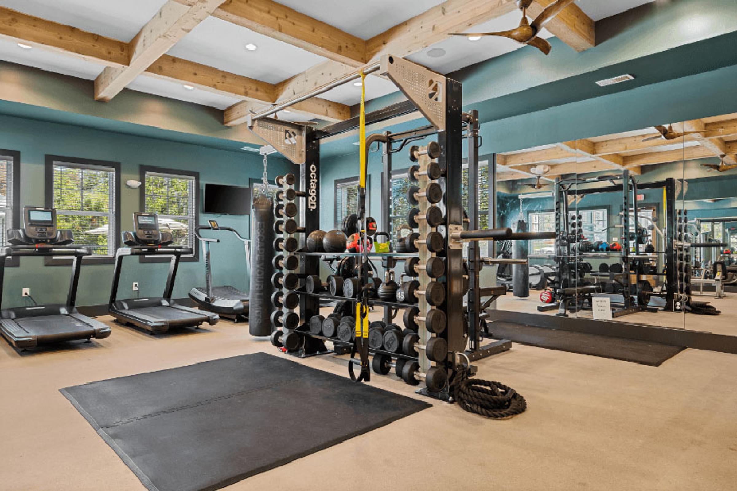 Modern Fitness Center with Cardio and Free Weight Equipment
