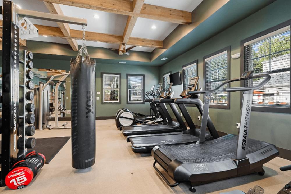 the gym is stocked with weights and cardio equipment