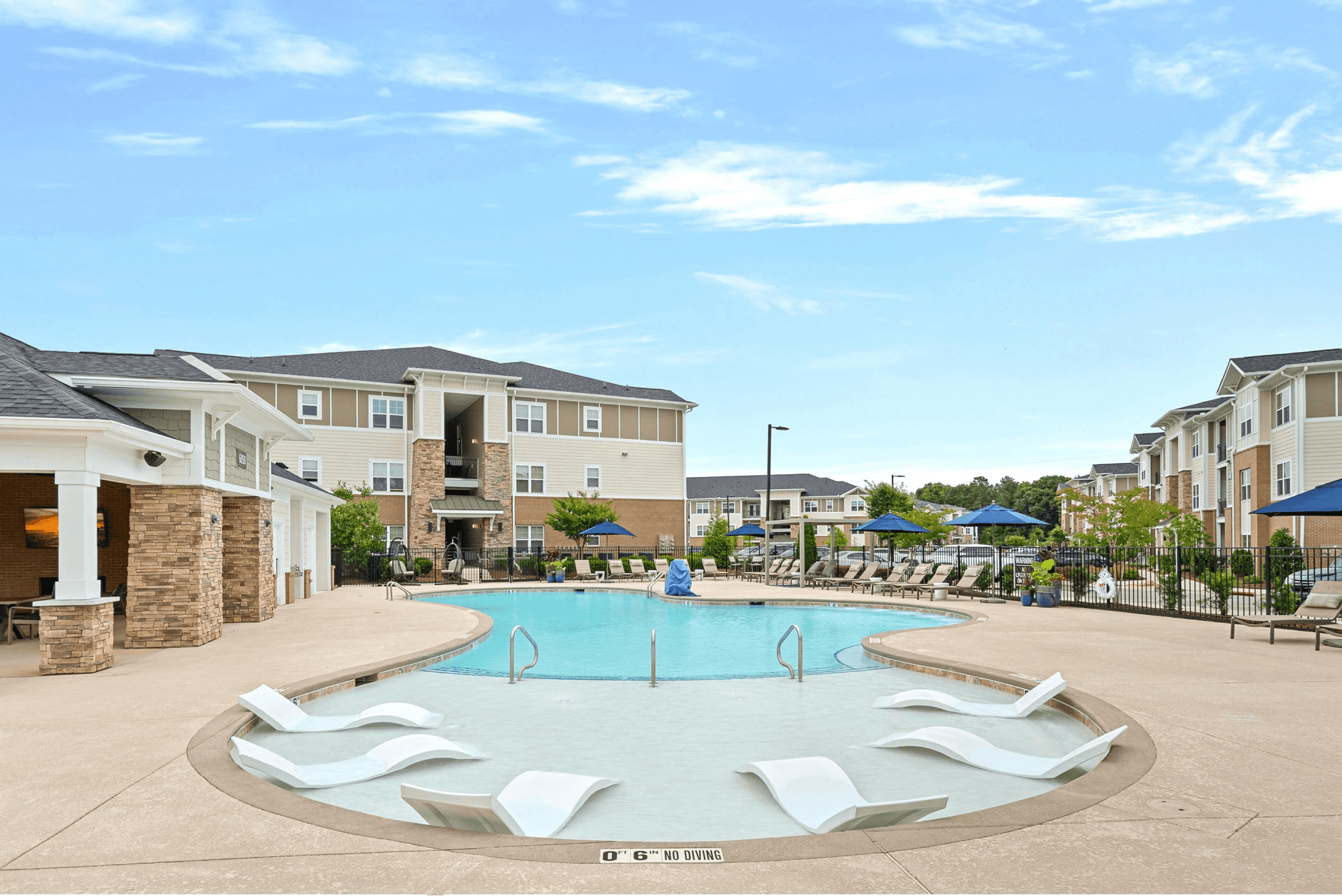 Custom Saltwater Swimming Pool with Sun Shelf and Jets