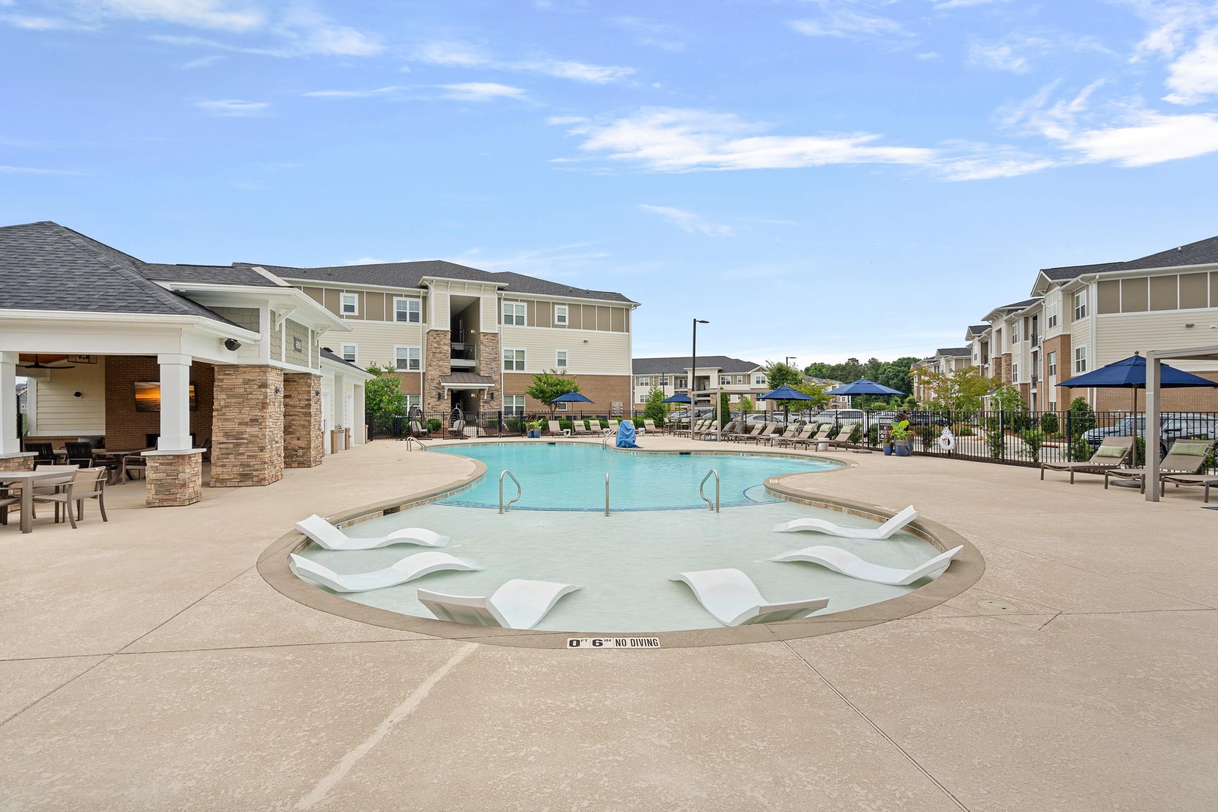 Custom Saltwater Swimming Pool with Sun Shelf and Jets