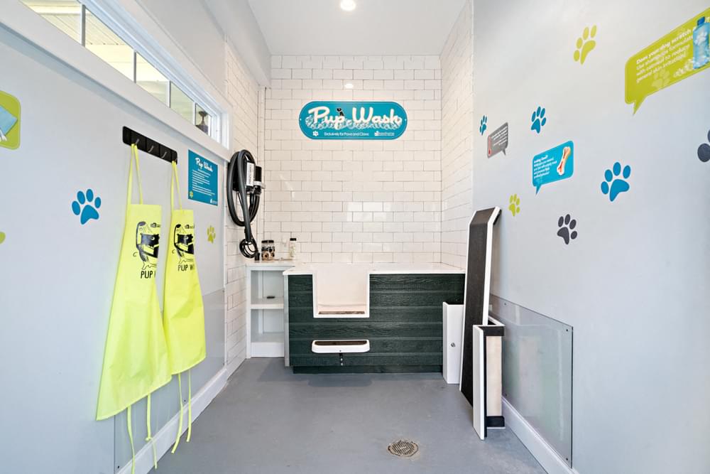 Pup Wash Virtual Tour apartment interior