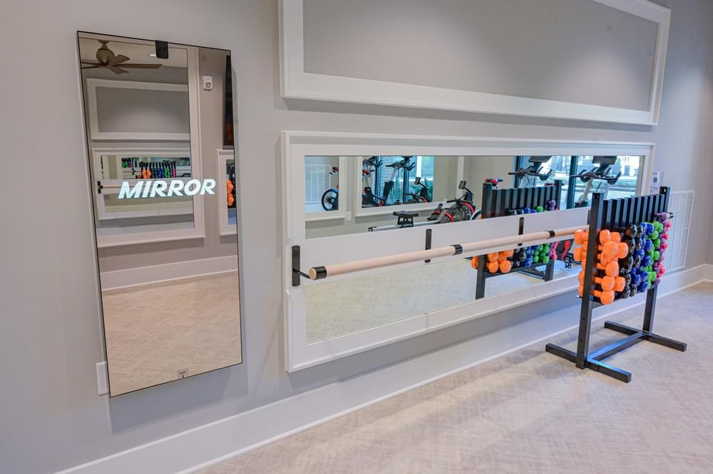 Fitness Center Featuring The Mirror at Hawthorne at Indy West in Wilmington, North Carolina
