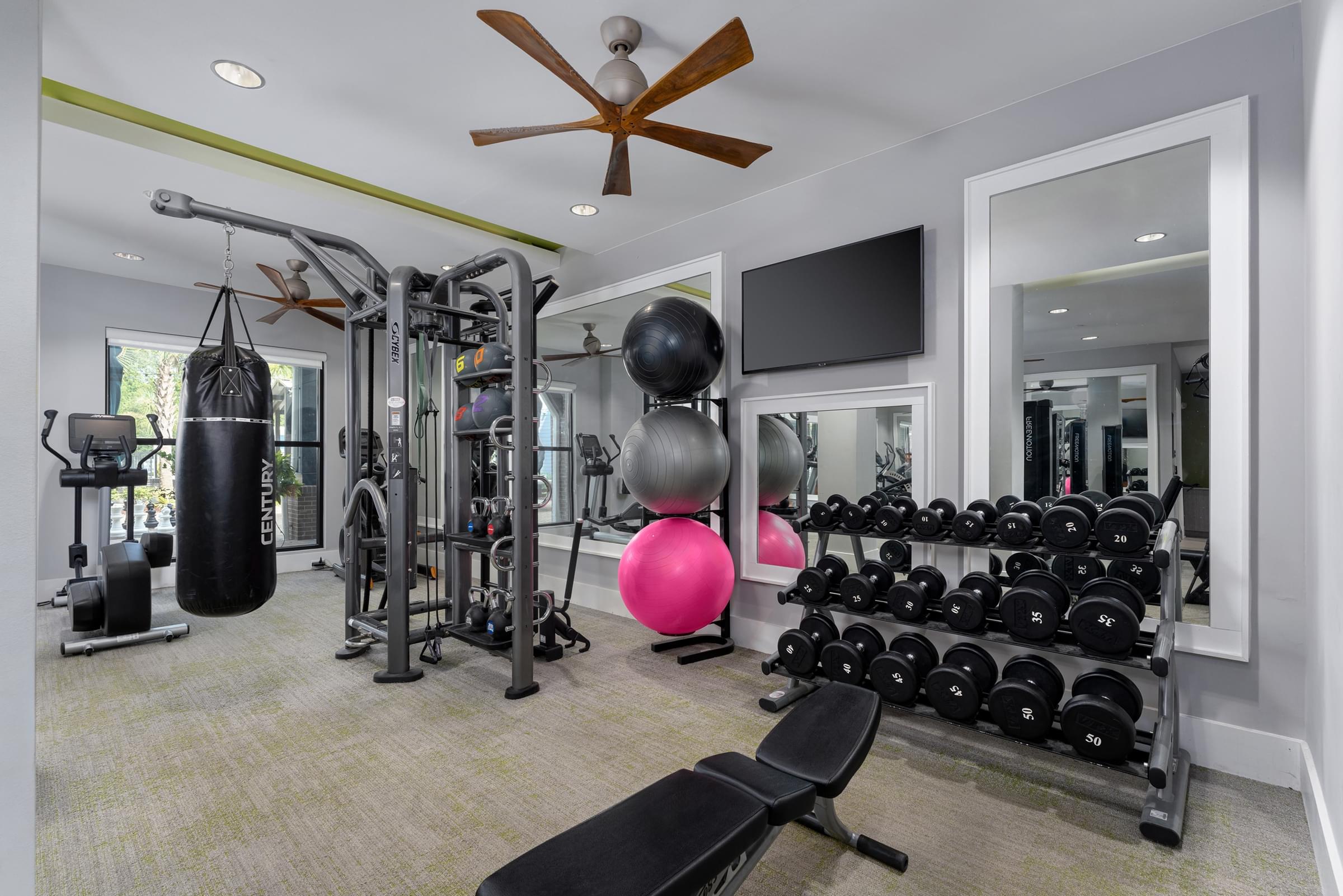 Professional-Grade Fitness Center with Cardio & Strength Equipment