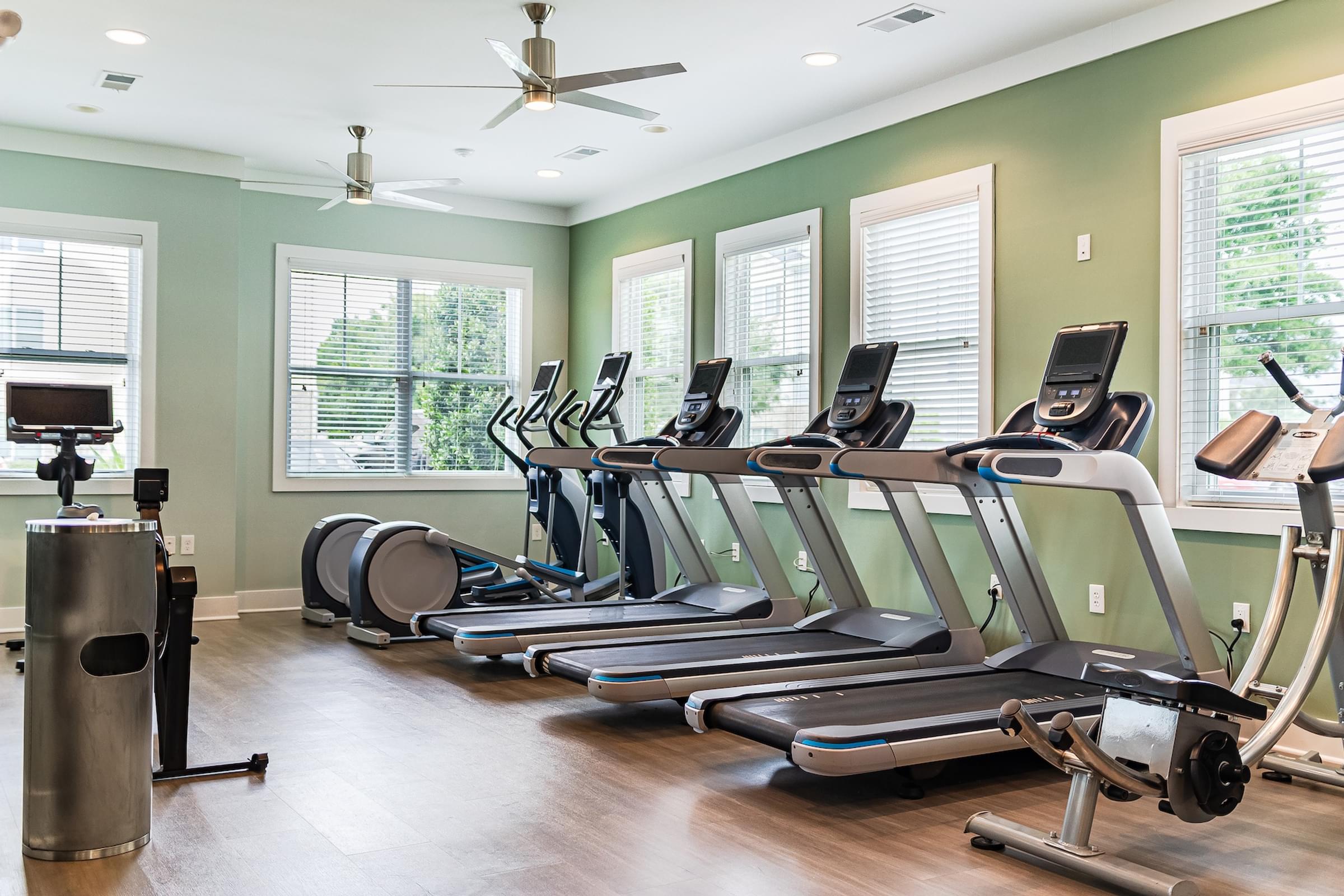 a row of treadmills in a fitness room with windows