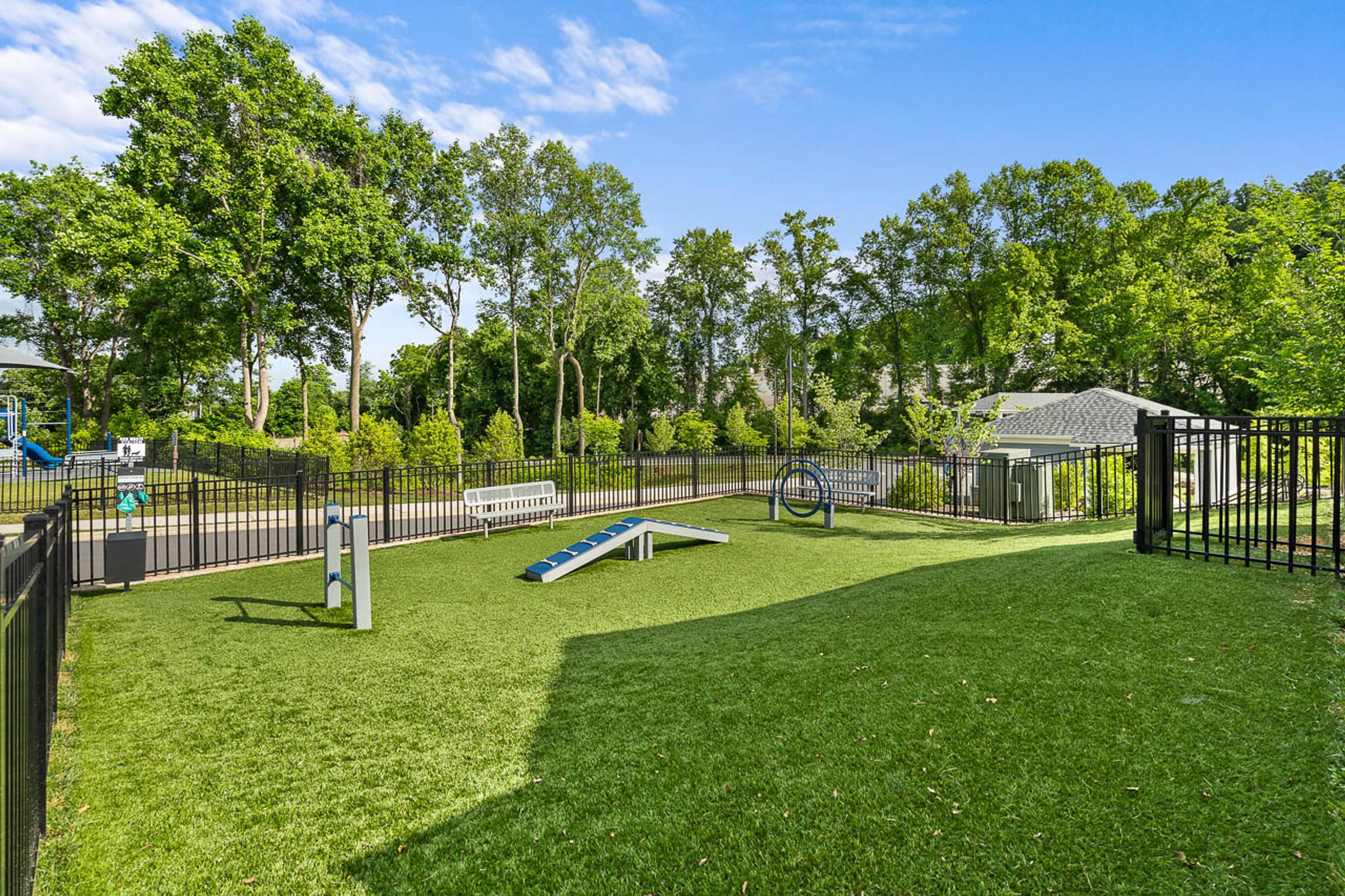 a fenced in play area with a seesaw in a pet park