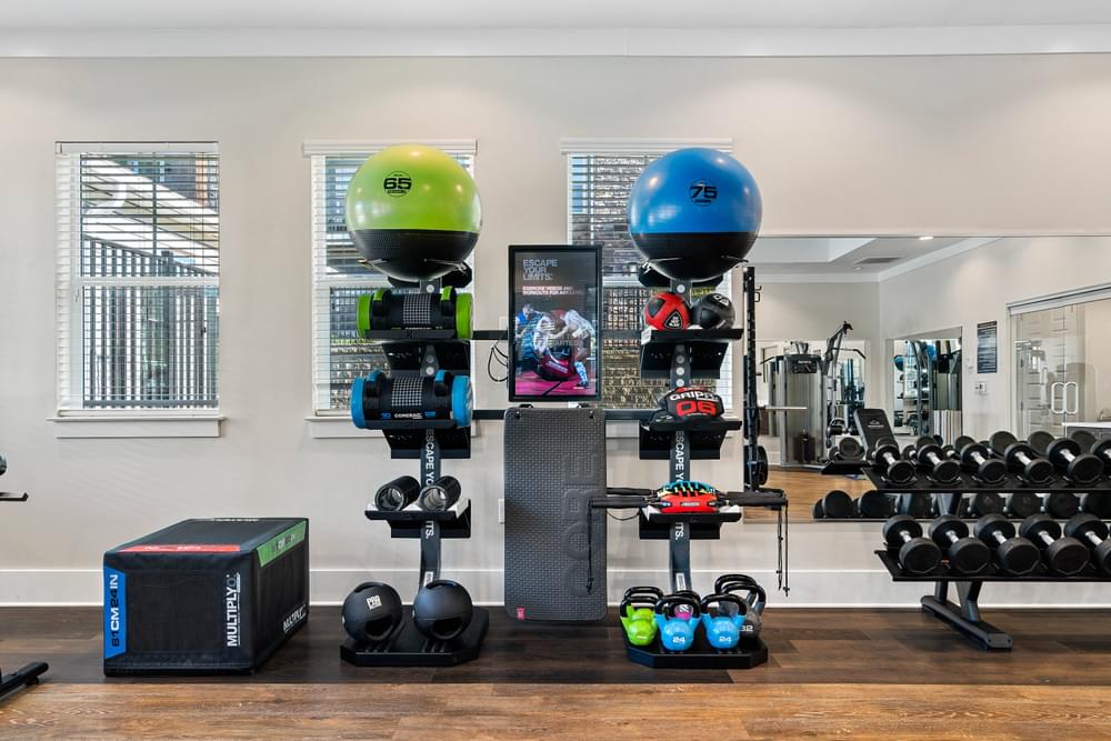 the apartment gym is stocked with weights and dumbbells