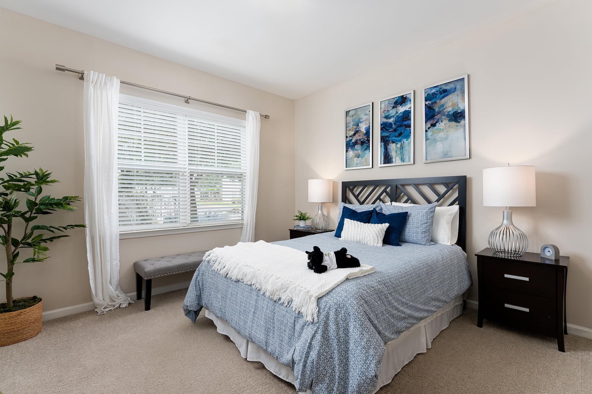 Spacious Bedrooms with Walk-In Closets