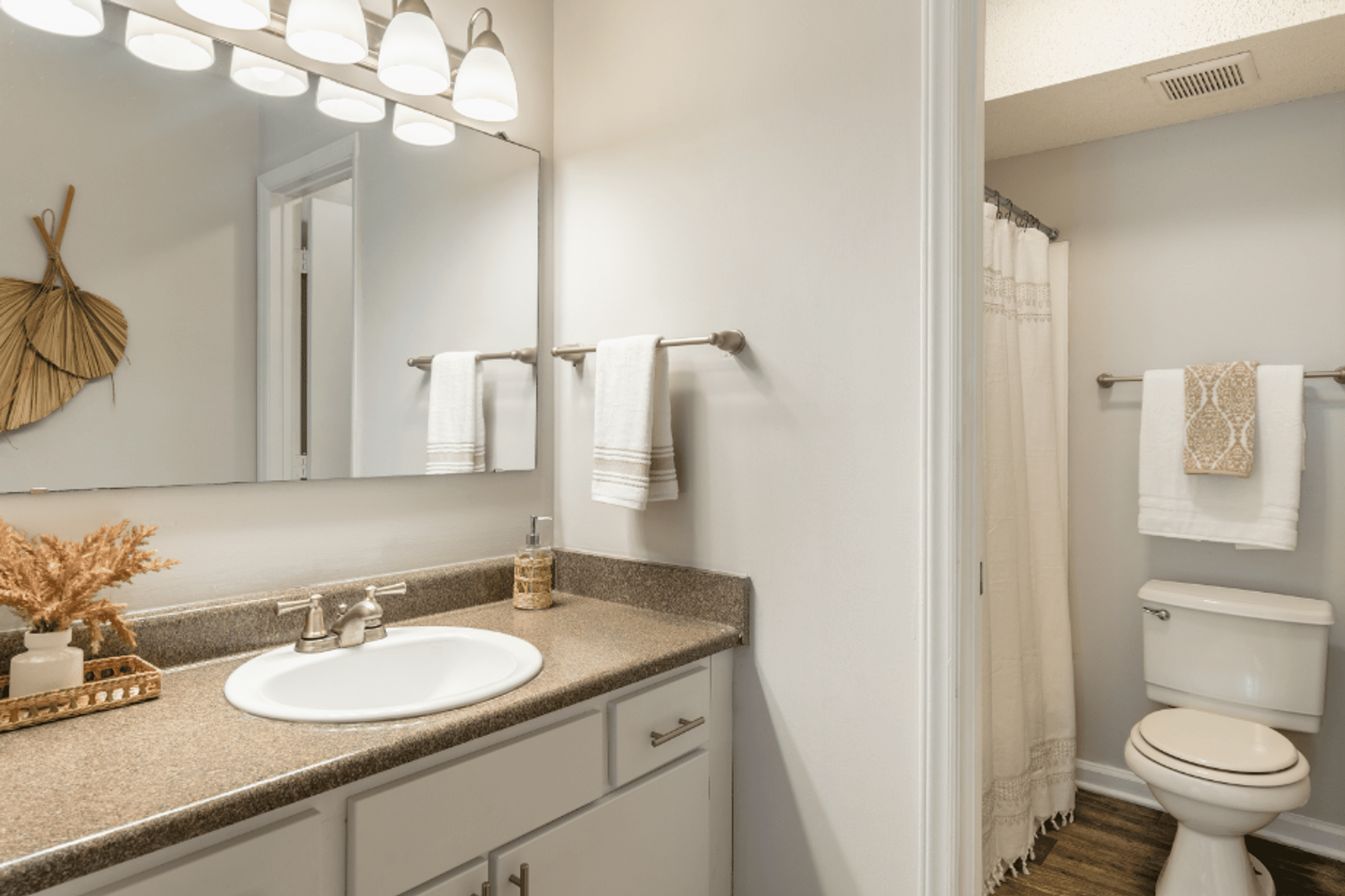 a bathroom with a sink and a mirror and a toilet