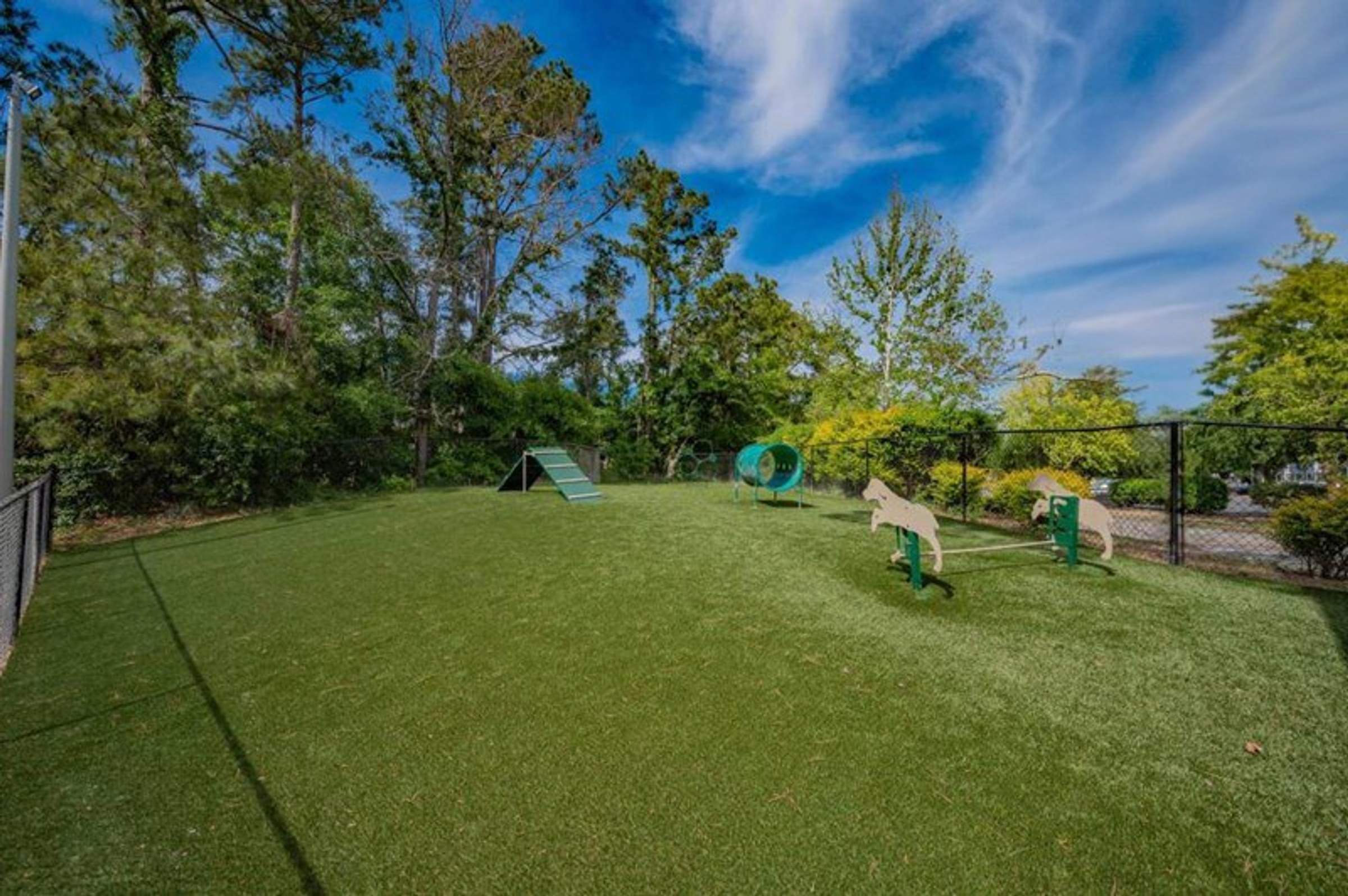 Fenced In Community Dog Park with Agility Equipment