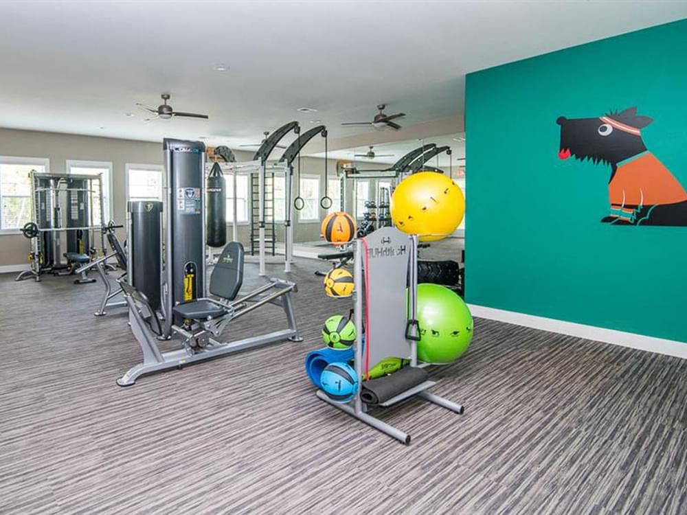 a gym with weights and other equipment and a green wall