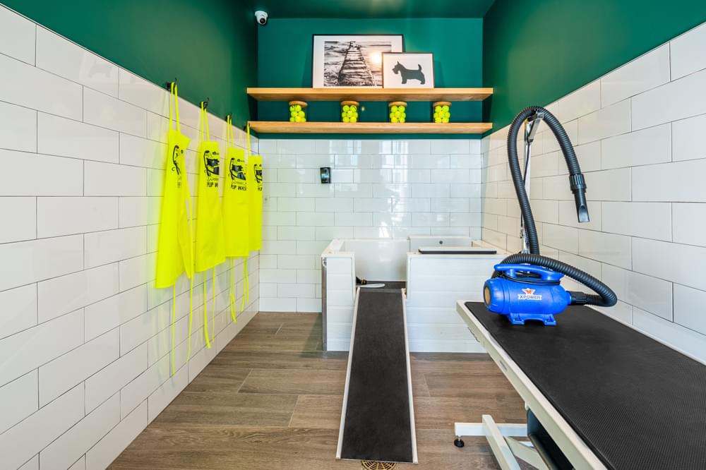 a workout room with a treadmill and a blue water kettle