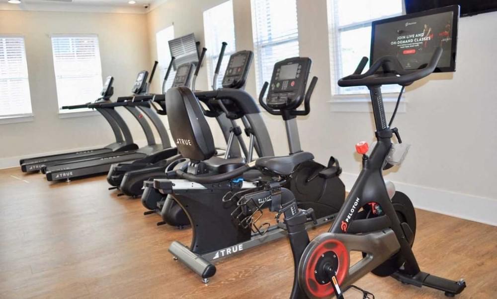 a row of exercise bikes in a fitness room