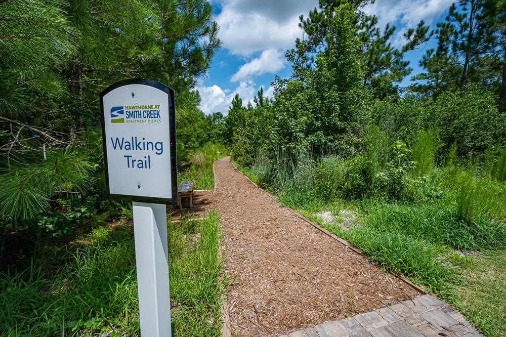 a trail with a walking trail sign