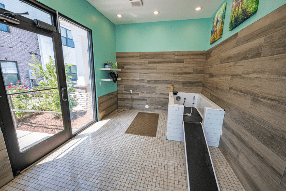 a large bathroom with a jacuzzi tub and a sliding glass door