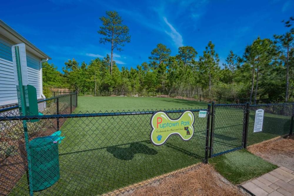 the dog park is fenced in with a green field and a blue sky