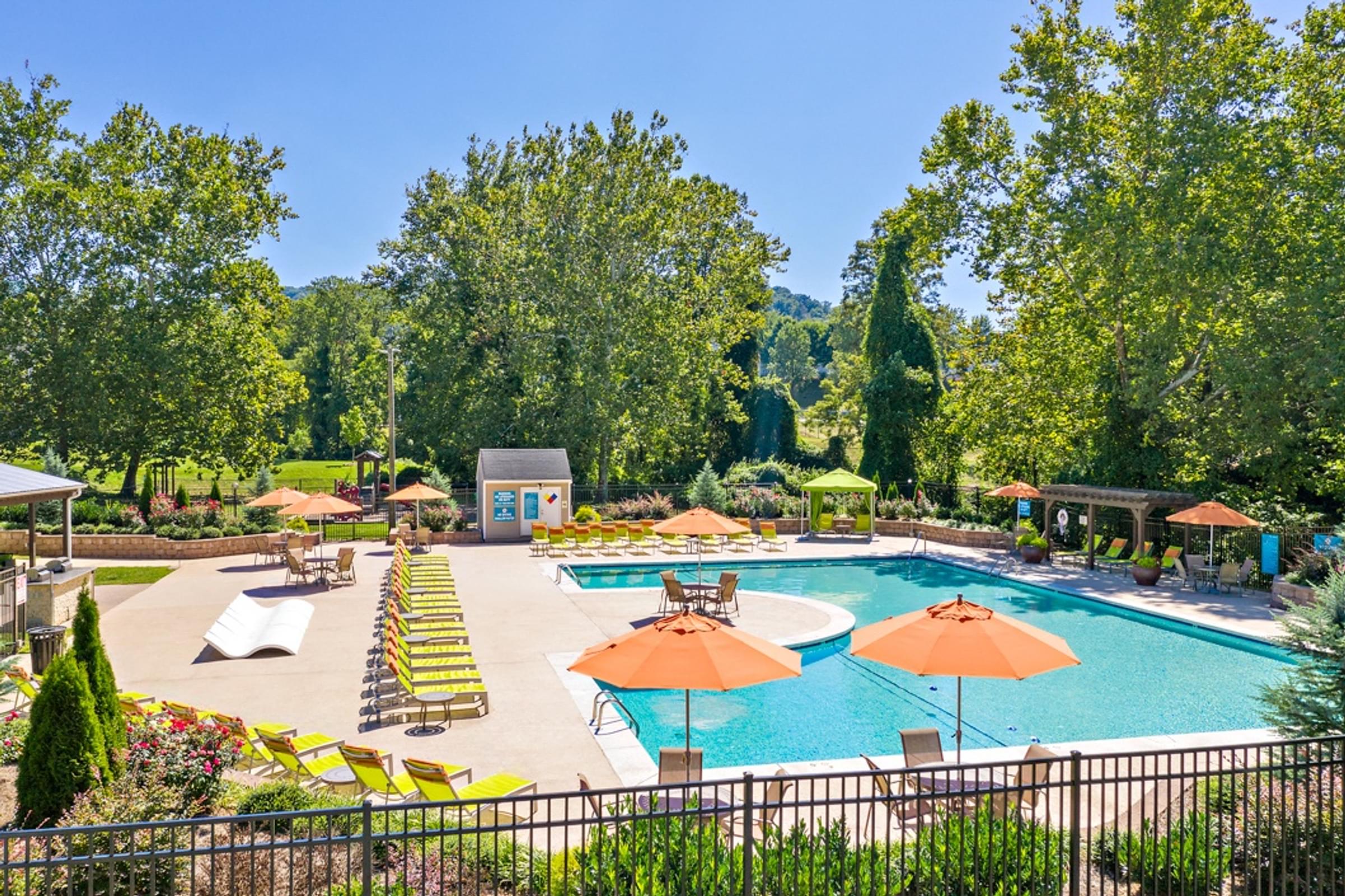 A large outdoor swimming pool surrounded by trees and lounge chairs.