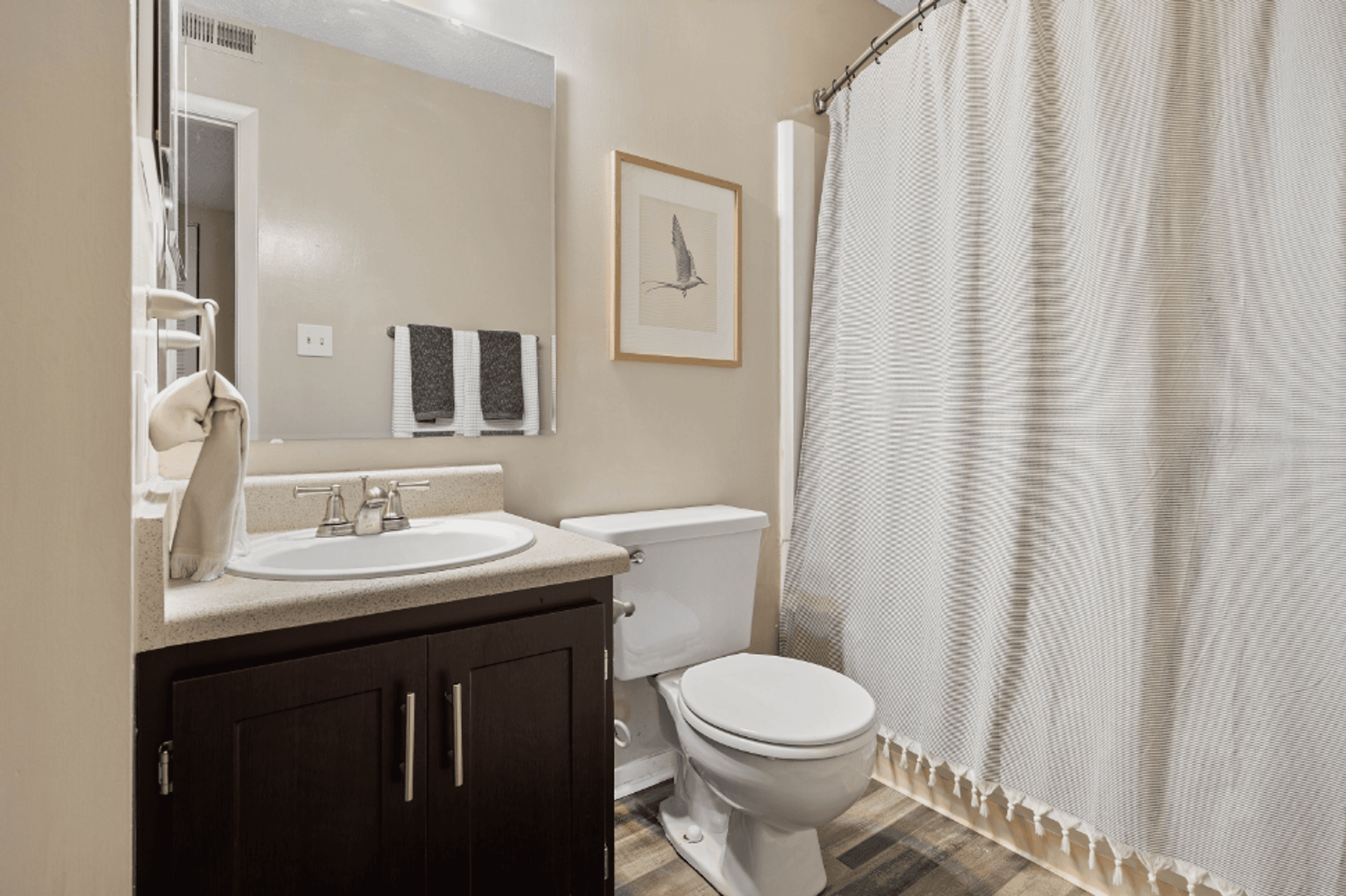 Bathroom with Modern Finishes and Dark Cabinets