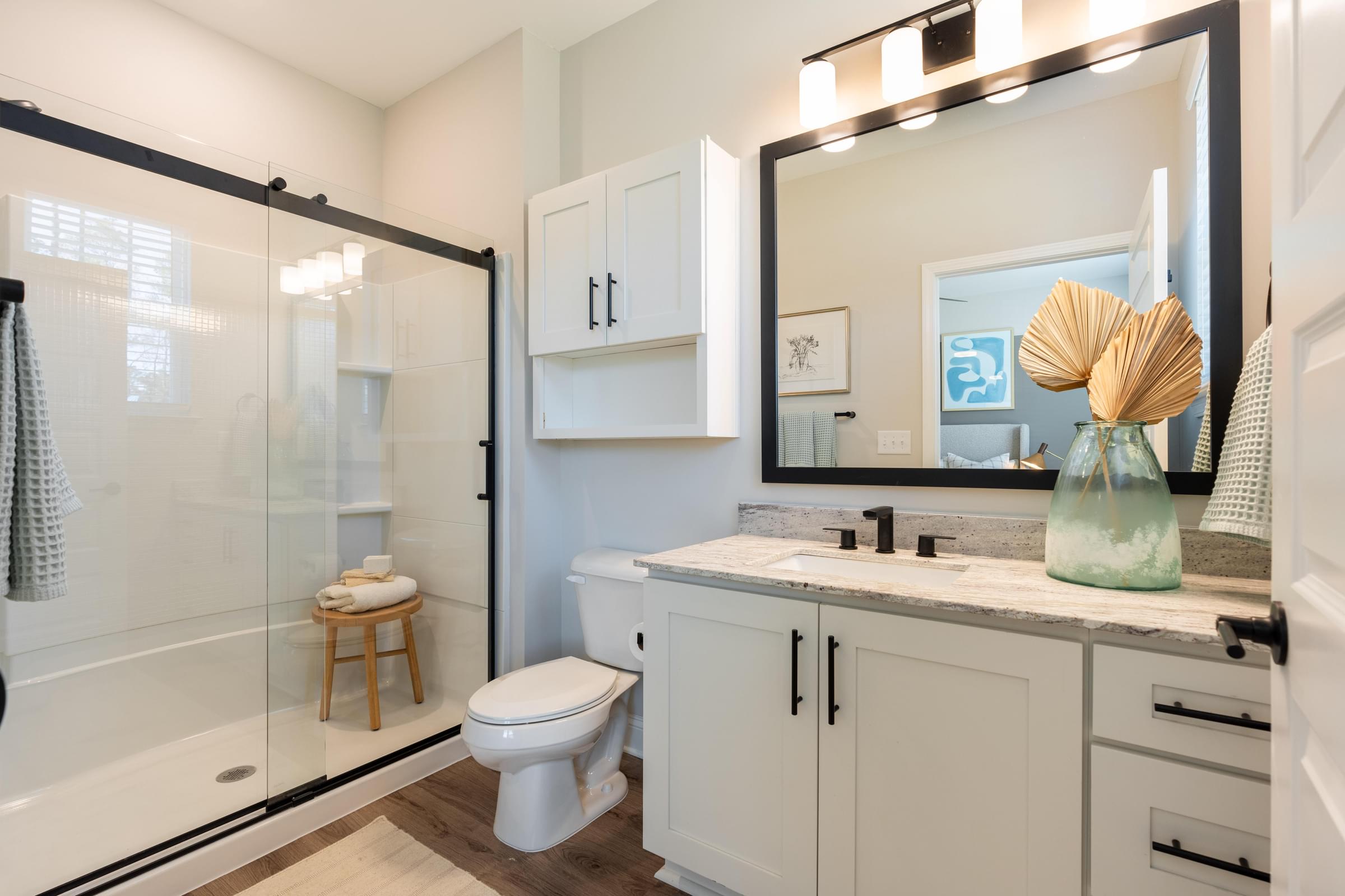 Modern Bathroom with Granite Countertops, Glass Shower Doors, and Plank Wood Flooring