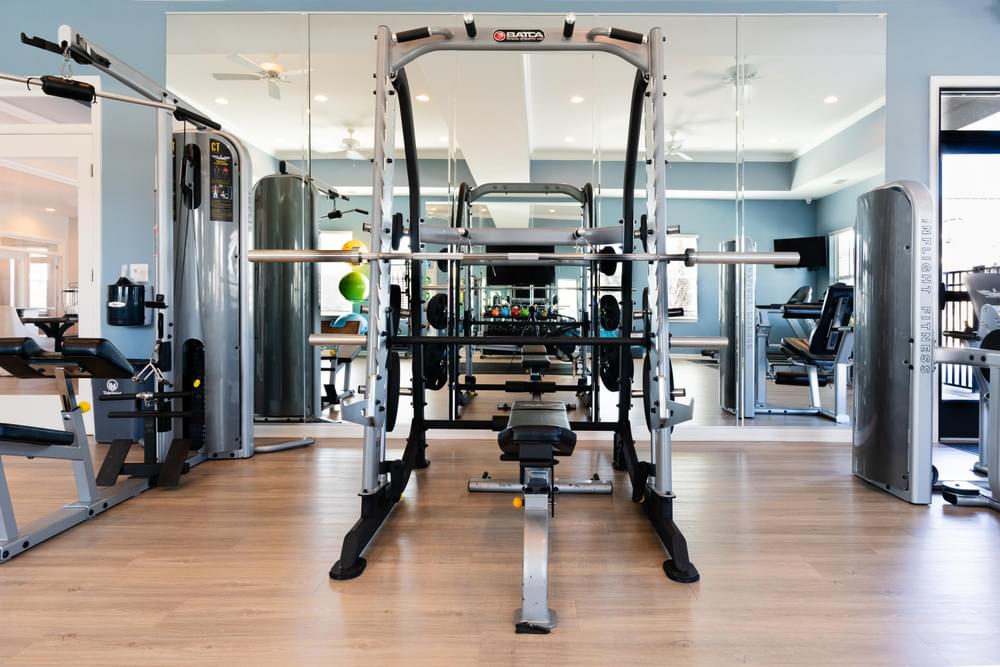 a gym with weights and cardio equipment in a home gym