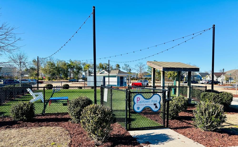 our park has a playground and a picnic area