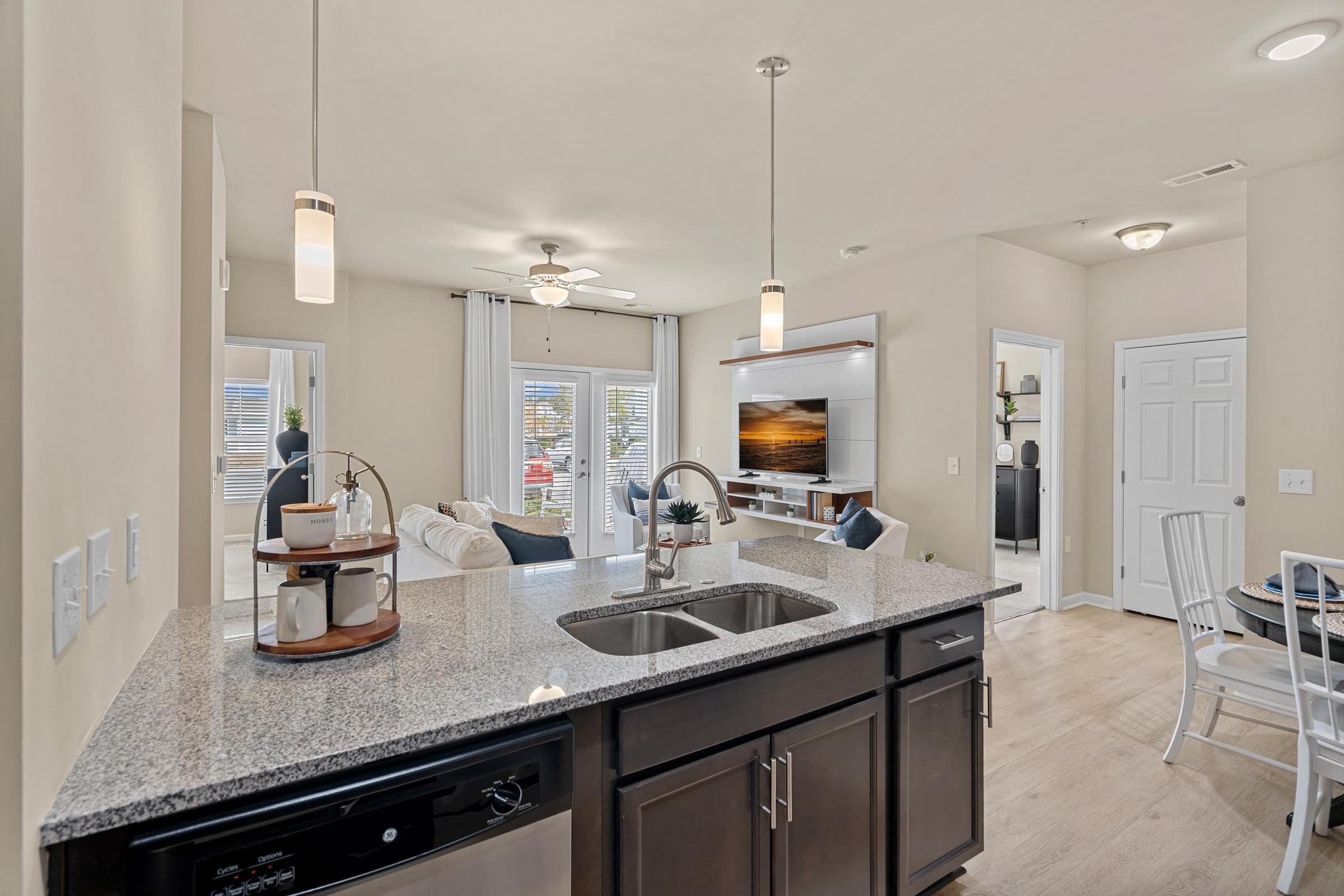 A kitchen with a black dishwasher and a black countertop.