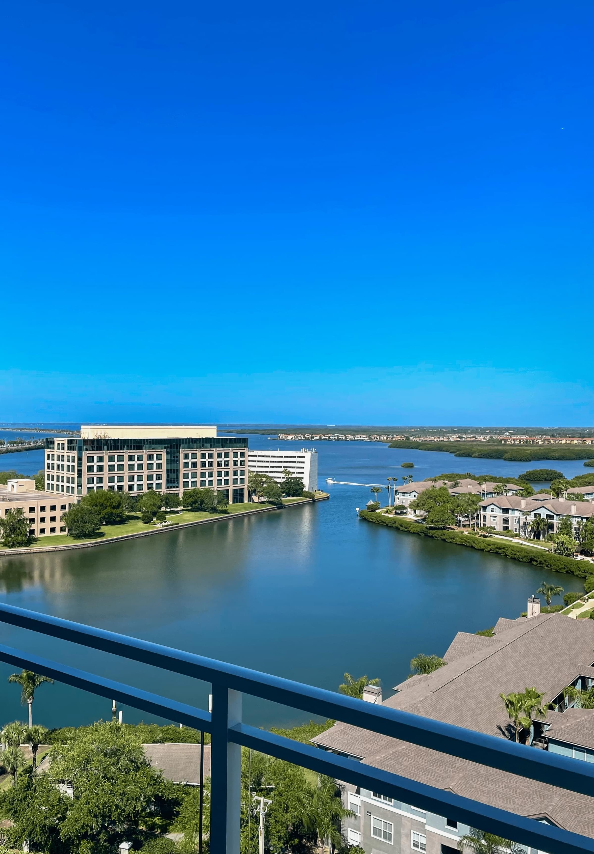 Views of Tampa Bay