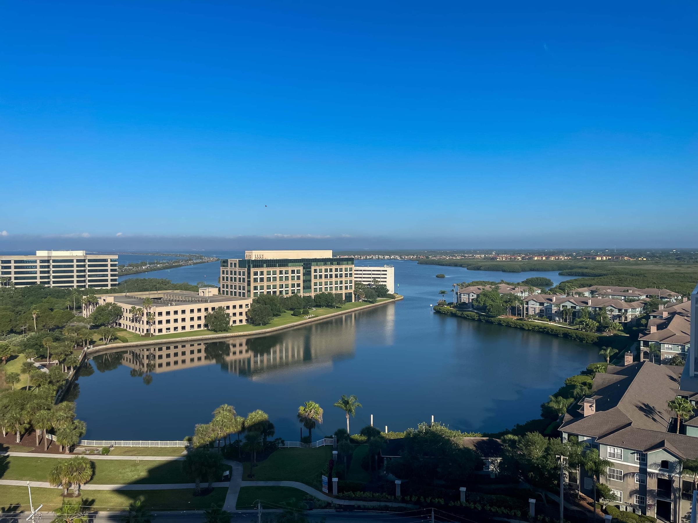 Tampa Bay Views