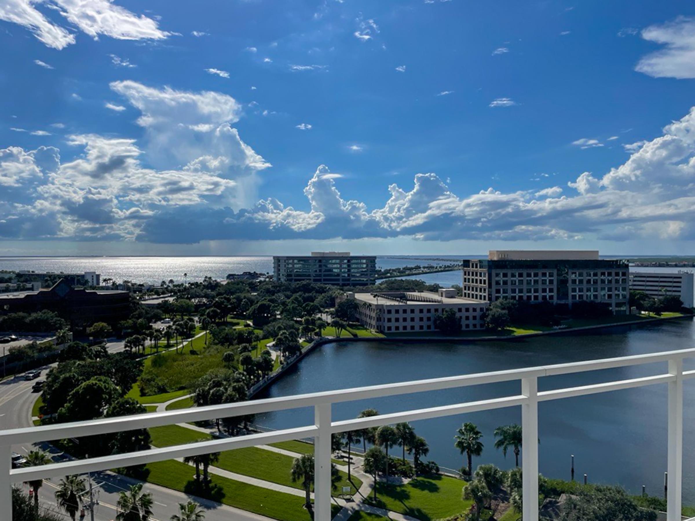 Overlooking Tampa Bay