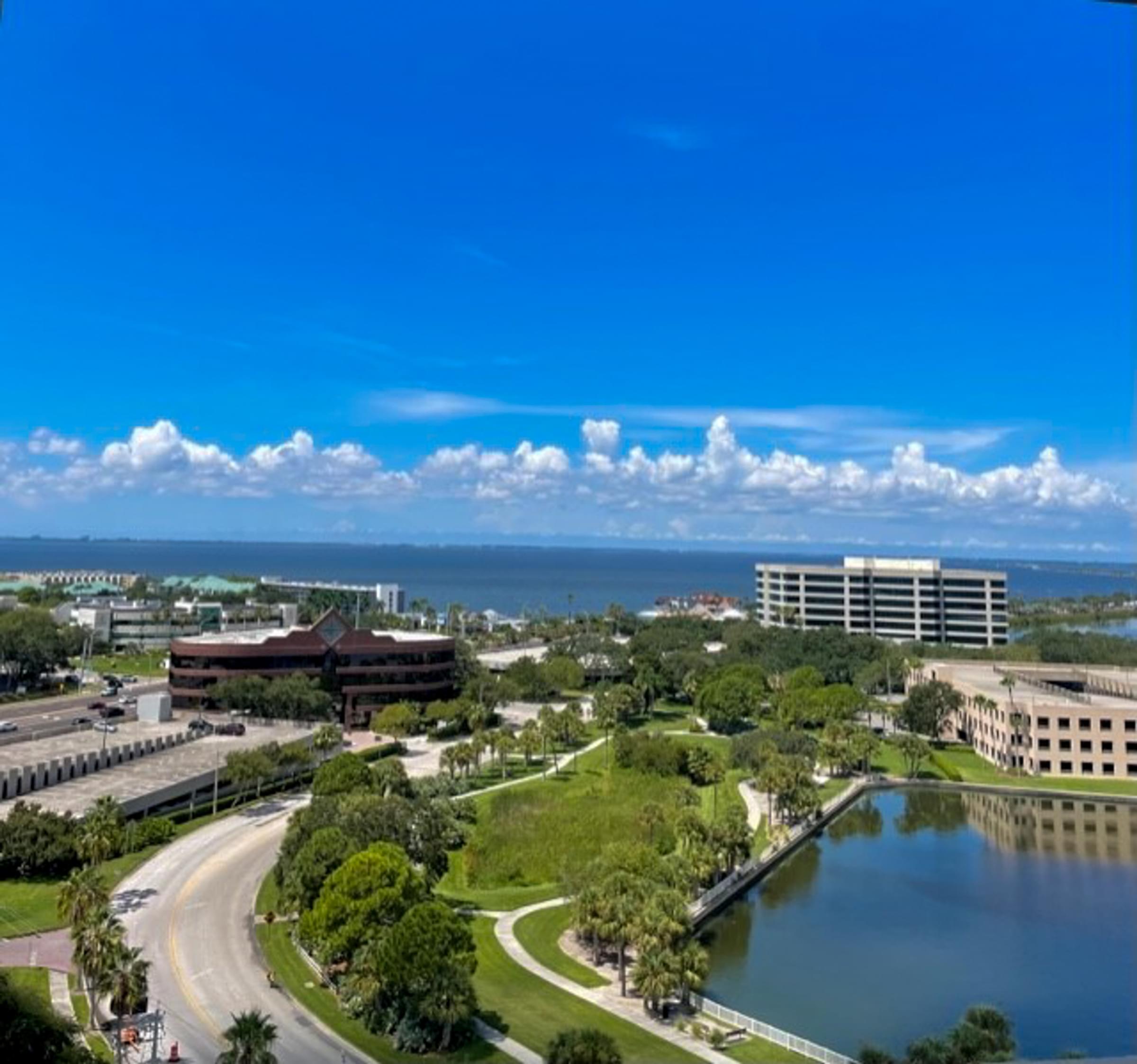 Tampa Bay views