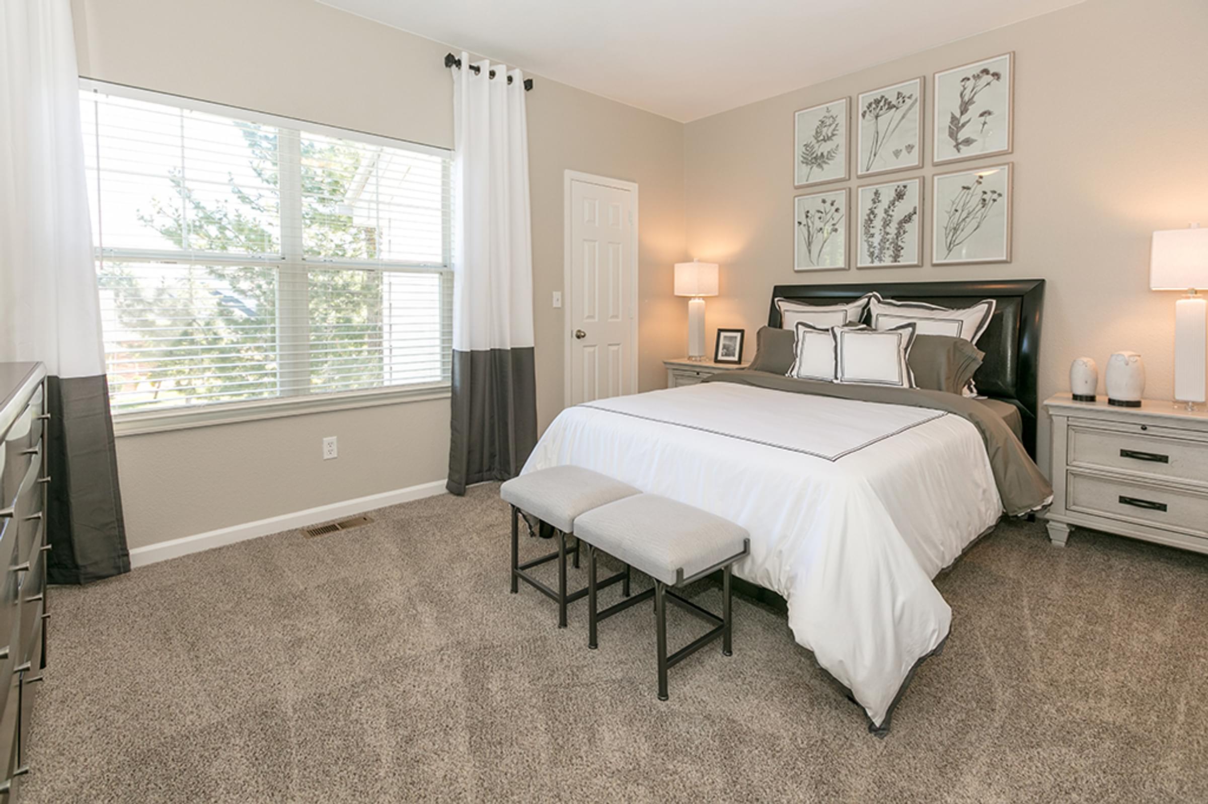 Photo Gallery and Virtual Tours - The Windsor