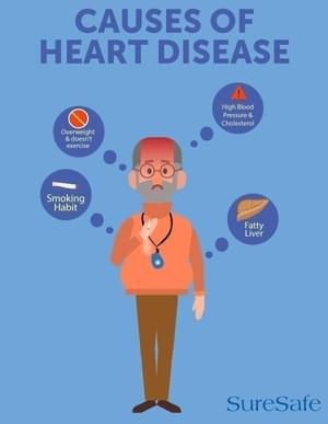Causes of heard disease infographic