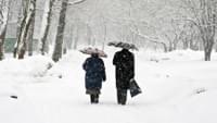 Elderly Couple Walking in the Snow