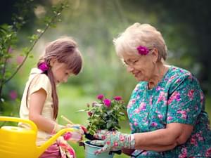 Elderly Gardening