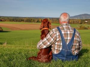 Elderly Man with a Dog in the Countryside