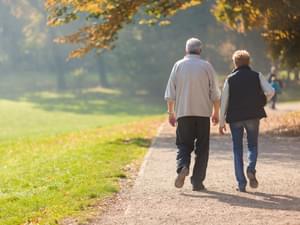 Elderly Walking