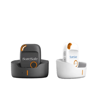 US black and white in cradle grey bground