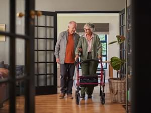 Walking with Assistance