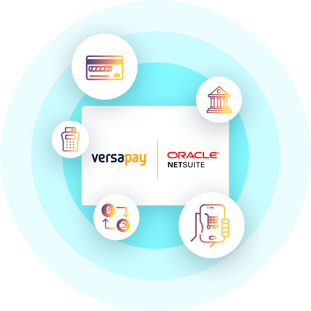 Concept flow into portal levels ICONS netsuite 2x