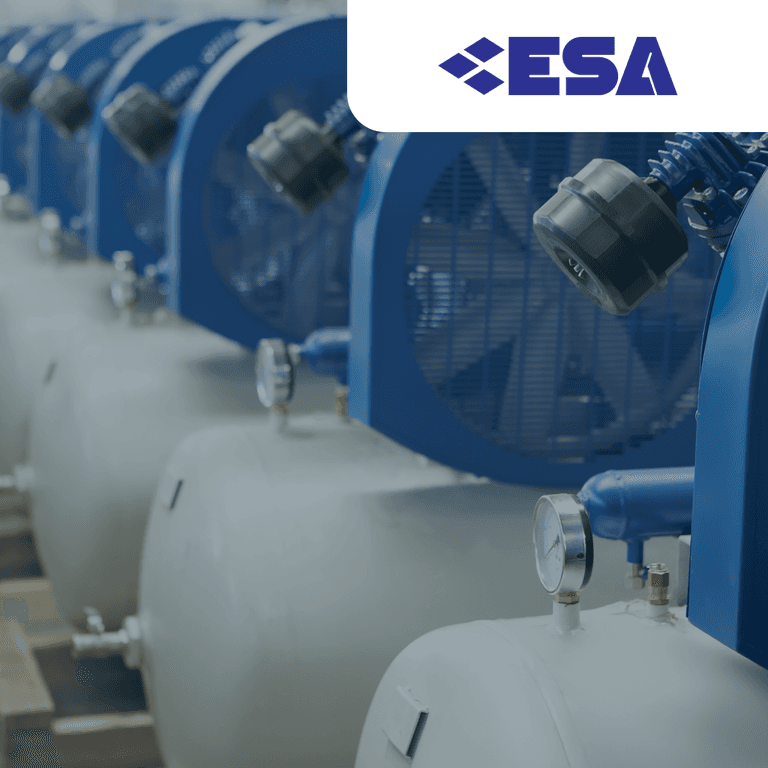 ESA Case Study