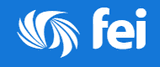 FEI 2024 Logo