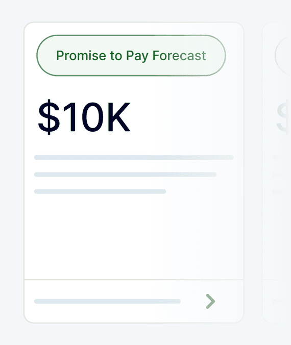Forecast promised payments
